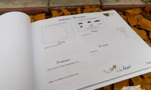 Otwarta księga gości z ankietą weselną, pytaniami o podróż, wspomnienia i życzenia.